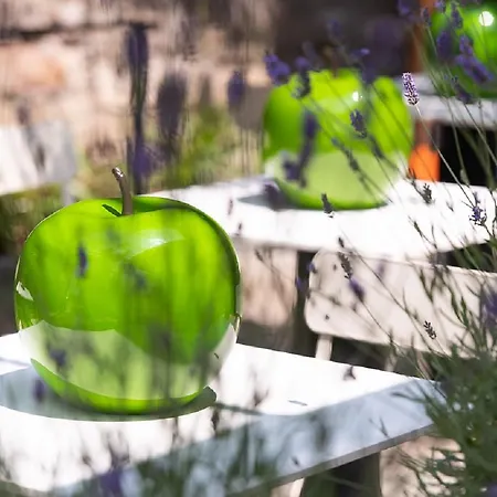 Ξενοδοχείο Le Funi 4*