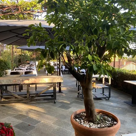 酒店 乐芙尼酒店 贝尔加莫